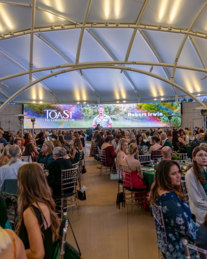 Jacksonville Zoo_Toast to Conservation_Robert Irwin_Gala_AV Production_LED Wall